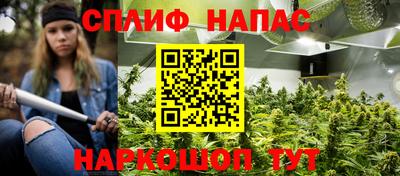 ешки Обь