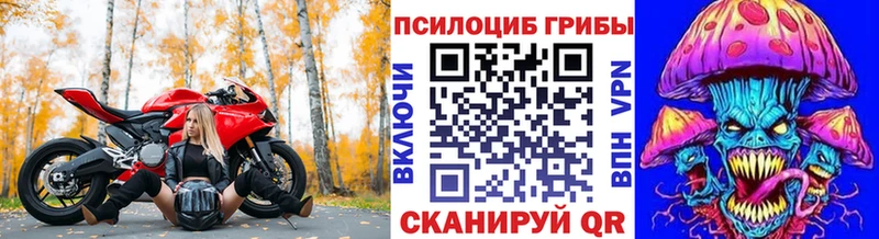 купить   Таганрог  Псилоцибиновые грибы Psilocybine cubensis 